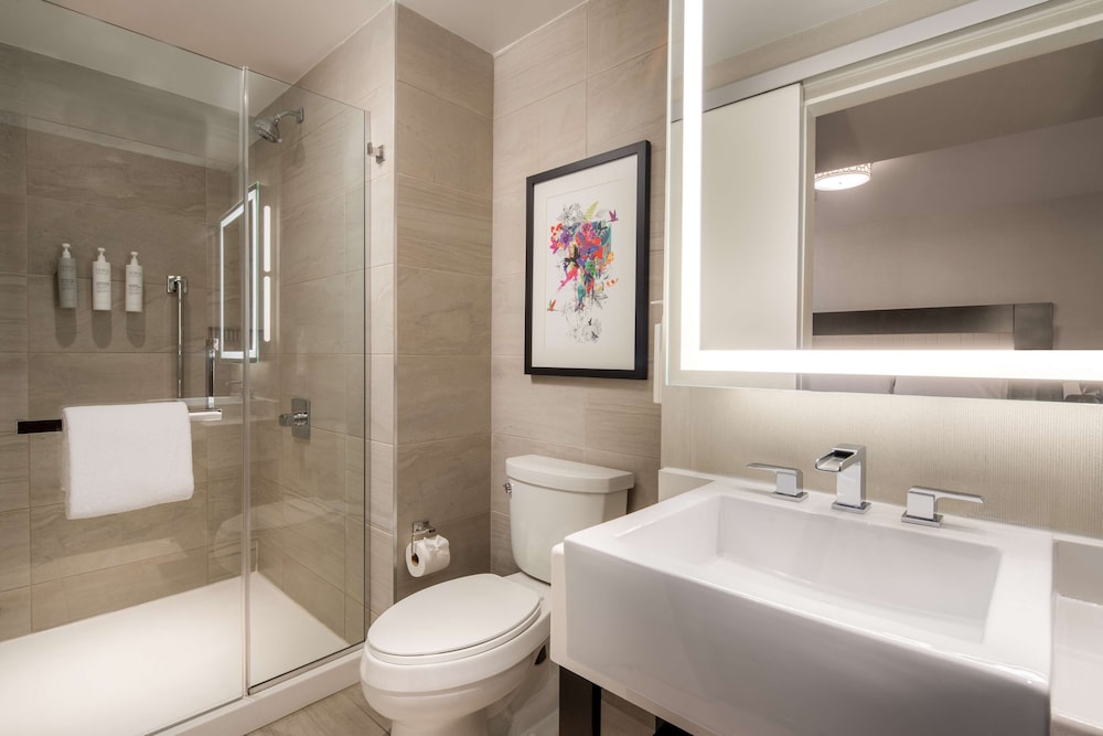 Embassy Suites by Hilton New York Manhattan Times Square - photo 64