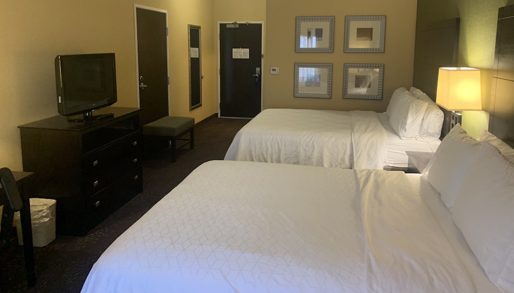 Holiday Inn Express Hotel & Suites Lansing Dimondale by IHG - photo 6