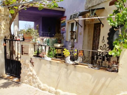 La Cova del Xapalló pet-friendly hotel Carricola