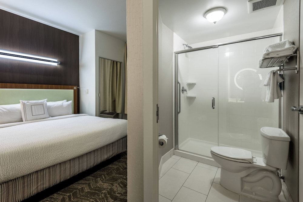 Springhill Suites Statesboro University Area - photo 7