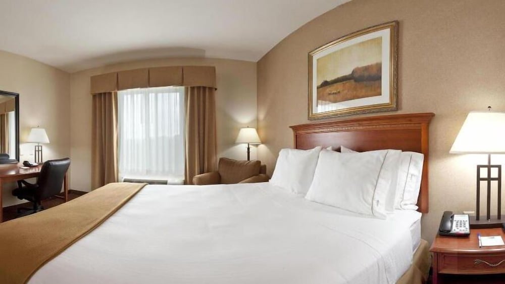 Holiday Inn Express & Suites Sheldon an IHG Hotel - photo 3
