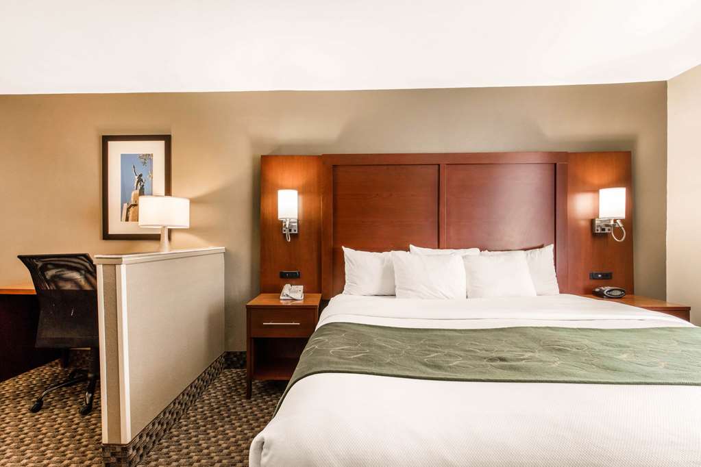 Comfort Suites Tuscaloosa near University - photo 21