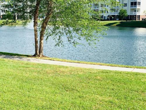 Astonishing view great condo at Myrtlewood Villas — 4-Star Luxury Hotel in Myrtle Beach, United States