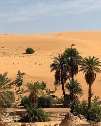Auberge Tembahjit — Atar — photo 2