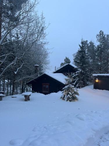 Hallingstua in Oslo, Norway