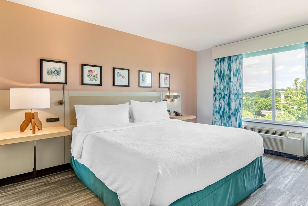 Hilton Garden Inn Atlanta NE Gwinnett Sugarloaf - photo 15