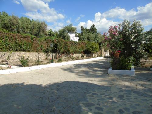 Casa El Molino — Montecorto — photo 5
