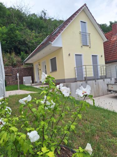 Ferienhaus Saaleblick - last minute hotel in Wettin
