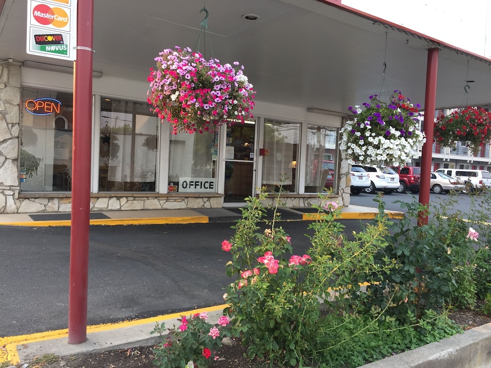Cougar Land Motel - photo 42