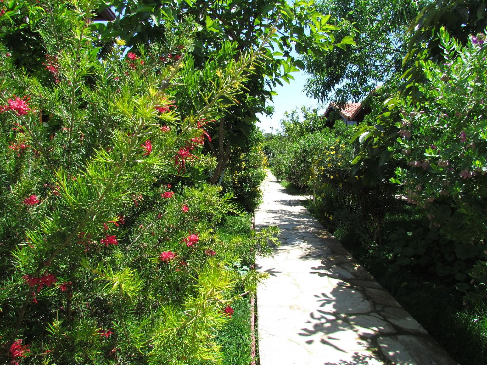 Cinderella Pansiyon - last minute hotel in Kemer