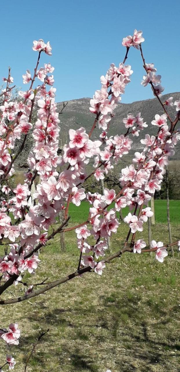 Il Casaletto di Simonetta — 4-Star Luxury Hotel in Acquasparta, Italy