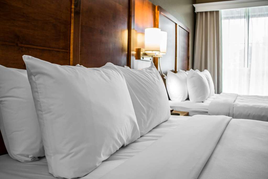 Comfort Suites Hartville North Canton - photo 28