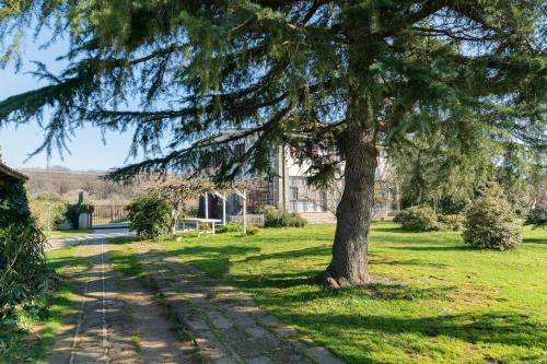 Villa immersed in green Isola dei Cavalli — 4-Star Luxury Hotel in Manziana, Italy