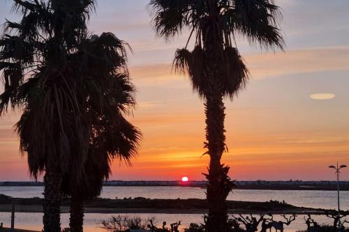 Logis Des Palmiers Yourhosthelper in Gruissan, France