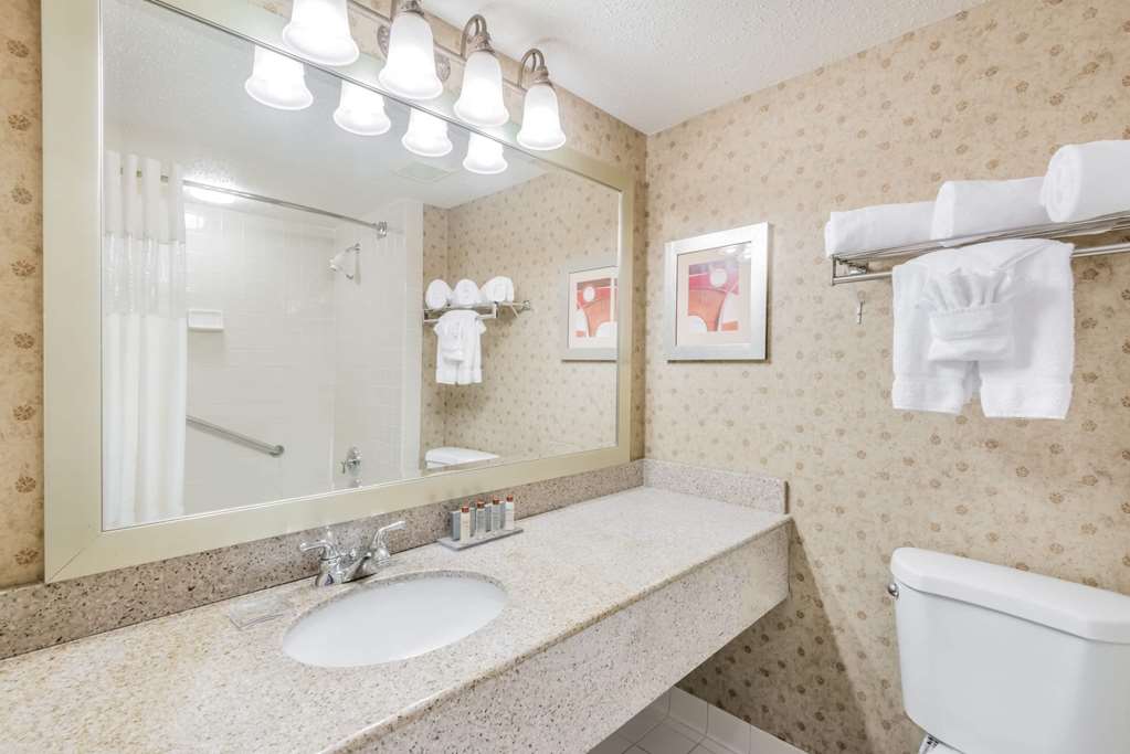 Wingate by Wyndham DFW North Irving - photo 23