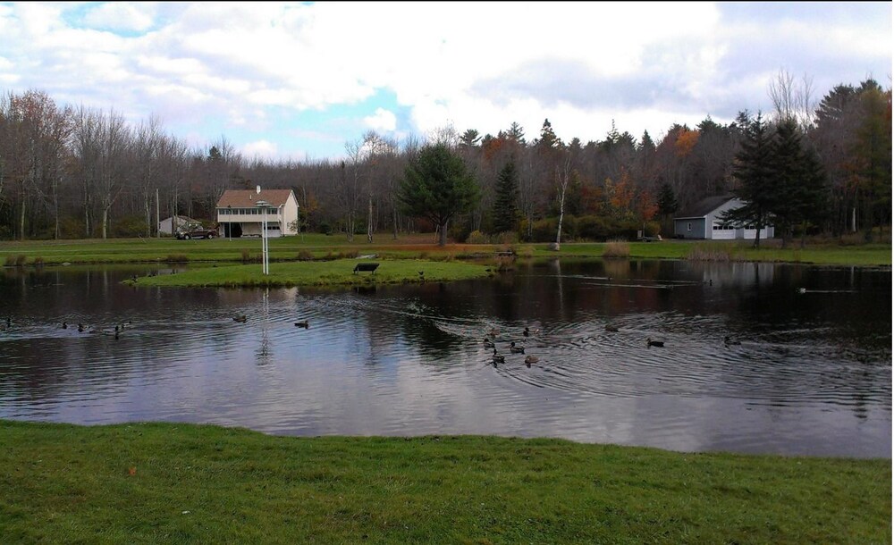 Eden Village Motel & Cottages - photo 27
