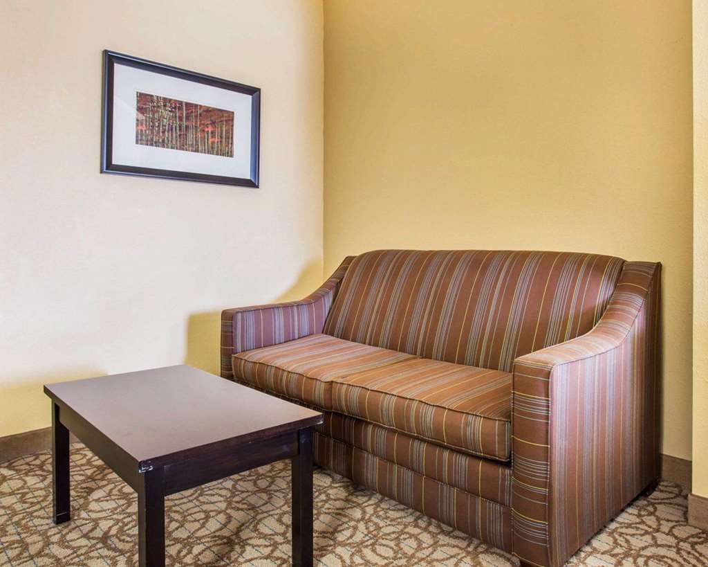 Comfort Inn & Suites at Stone Mountain - photo 19
