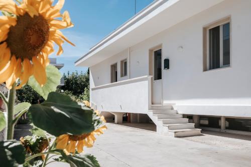 See You Bari — 4-Star Luxury Hotel in Bari, Italy