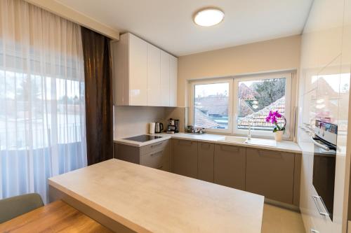 Thermal Lux Weninger Apartman — Kiskunhalas — photo 4