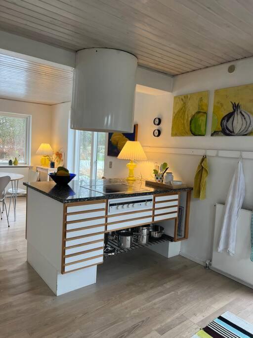 Skønt hus på landet tæt på Billund — Give — photo 2