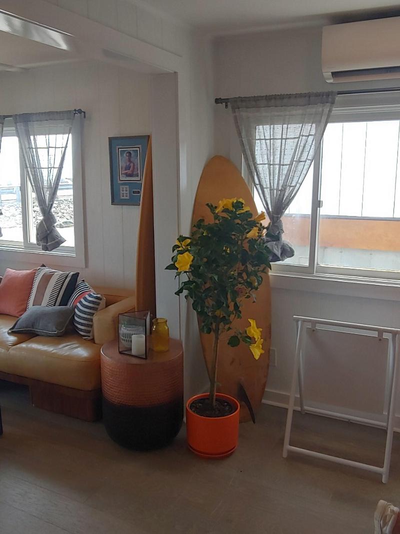 York Beach Surf Club - photo 12