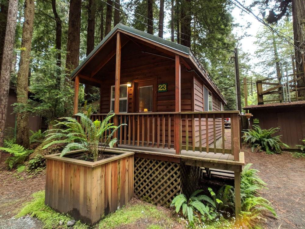 Emerald Forest Cabins - photo 101