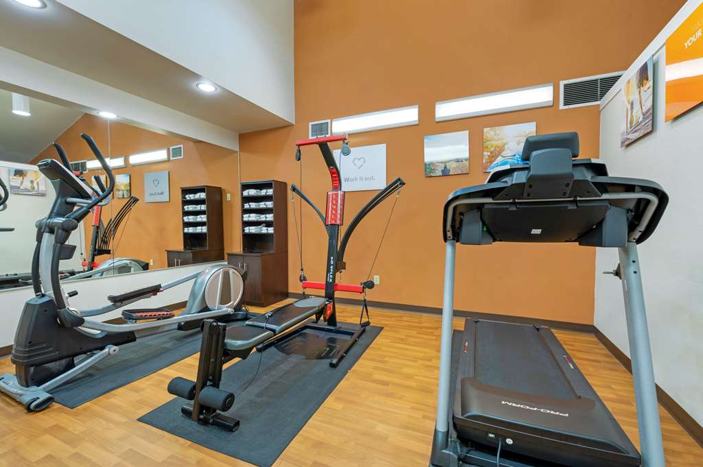 Comfort Suites Columbus Expo Center - photo 22