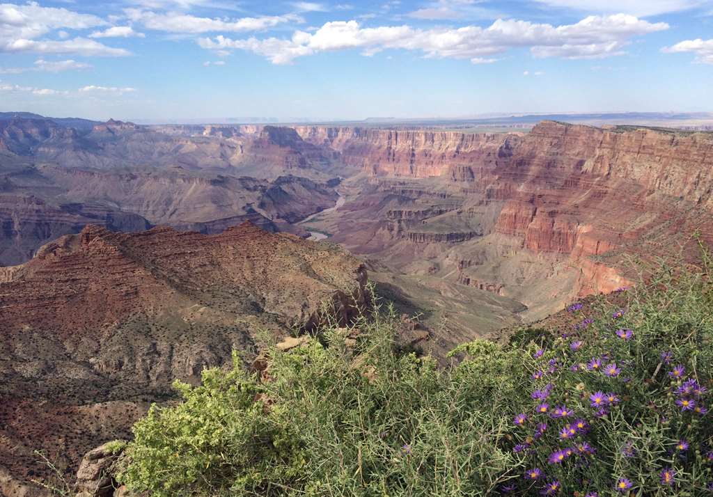 Grand Canyon Plaza Hotel South Rim - photo 10