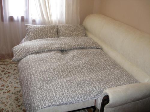 Alisa Hotel in Rakhiv, Ukraine