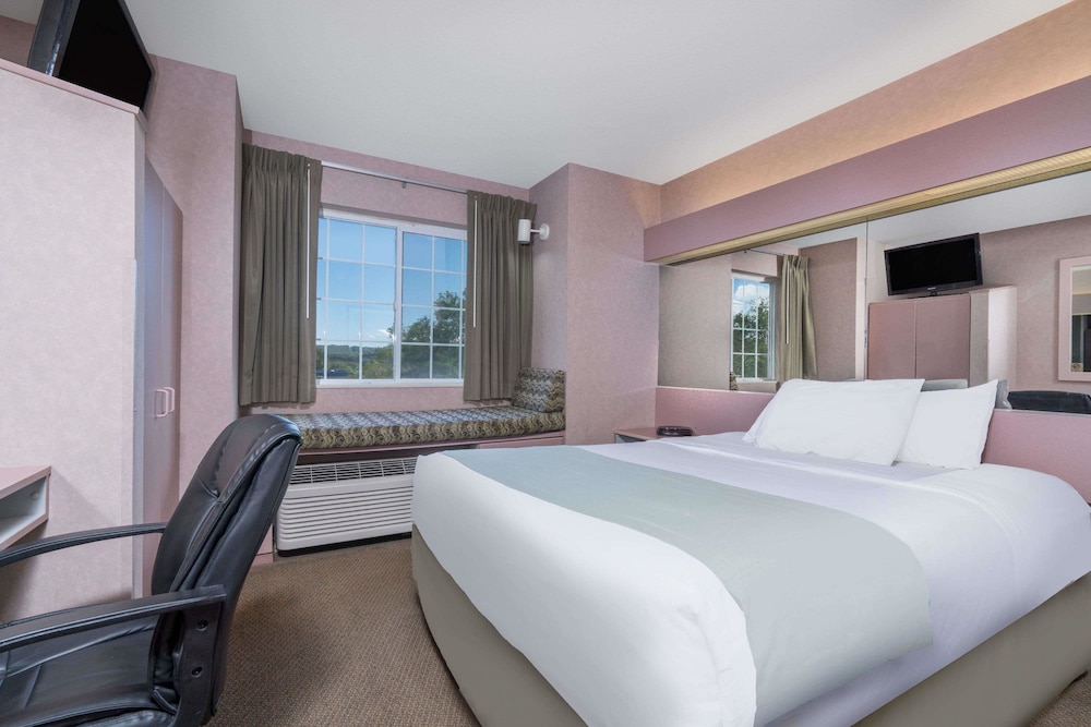 Microtel Inn by Wyndham Onalaska La Crosse - photo 4