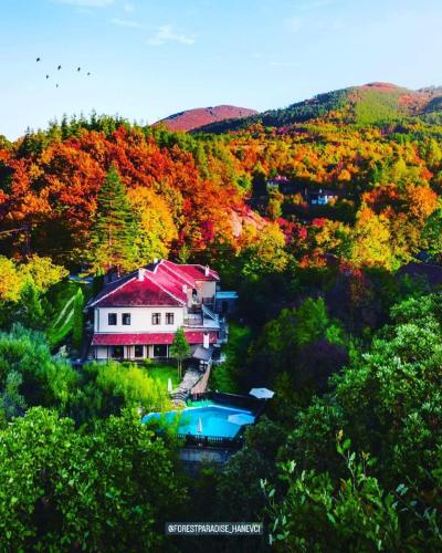 Forest Paradise Hanevci - last minute hotel in Unknown City