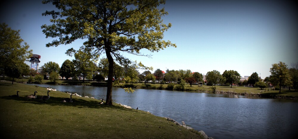 Adventureland Inn - photo 20