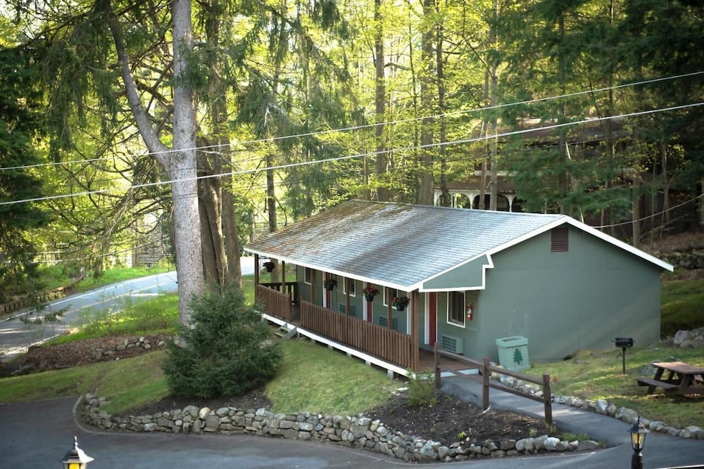 Forest Hill Lodge & Cabins - photo 35