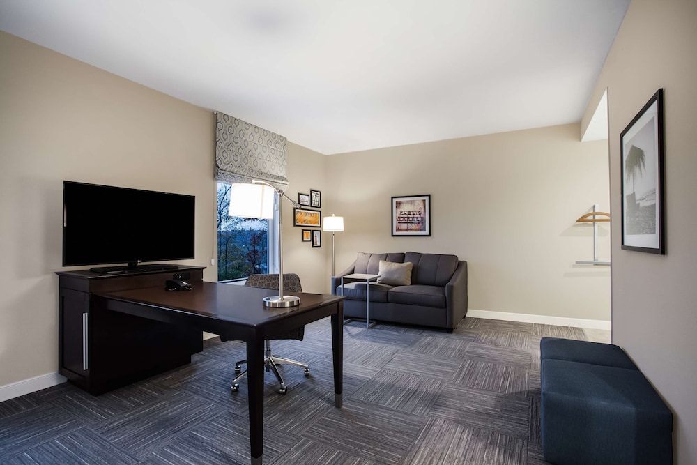 Hampton Inn Rochester Penfield - photo 6