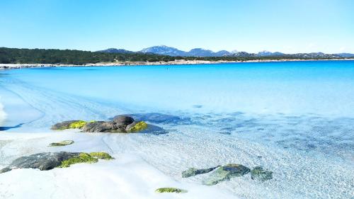 Sardegna Top Golfo Di Marinella — 4-Star Luxury Hotel in Golfo Aranci, Italy