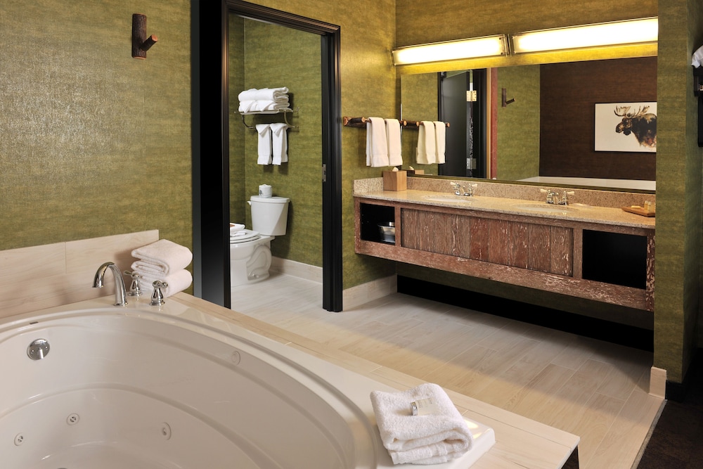 Stoney Creek Hotel Kansas City Independence - photo 32