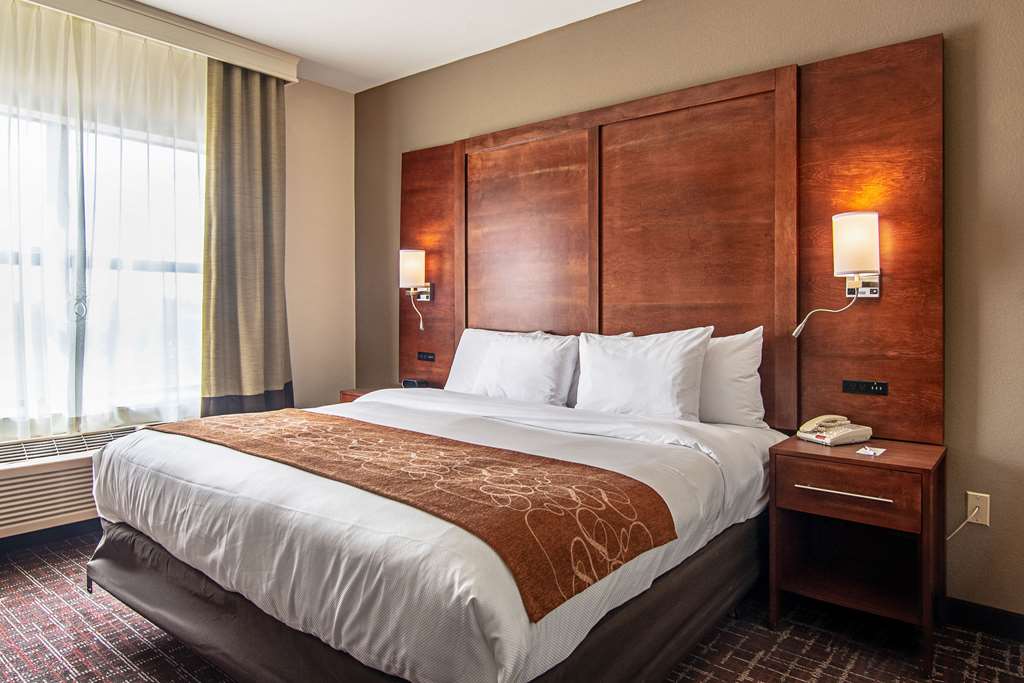 Comfort Suites NW Dallas Near Love Field - photo 12