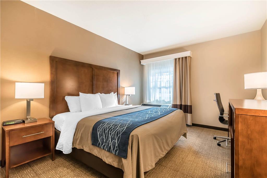 Comfort Inn Concord South End - photo 20
