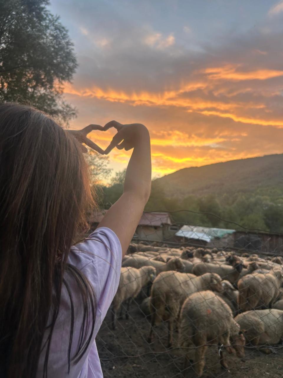 Căsuța Dede in Buzau, Romania
