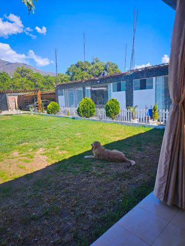 Piedra Verde Huánuco Perú in Huanuco, Peru