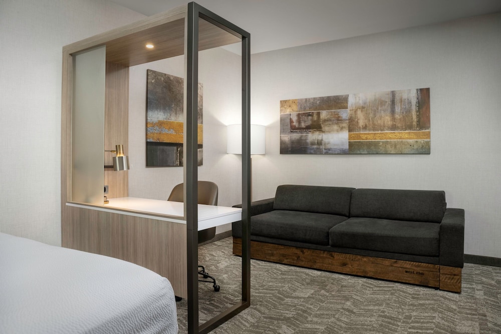 SpringHill Suites by Marriott Birmingham Gardendale - photo 14