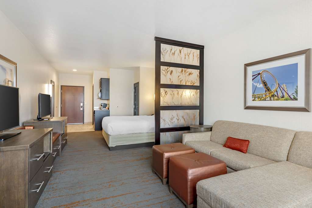 Comfort Inn & Suites Brighton Denver NE Medical Center - photo 39