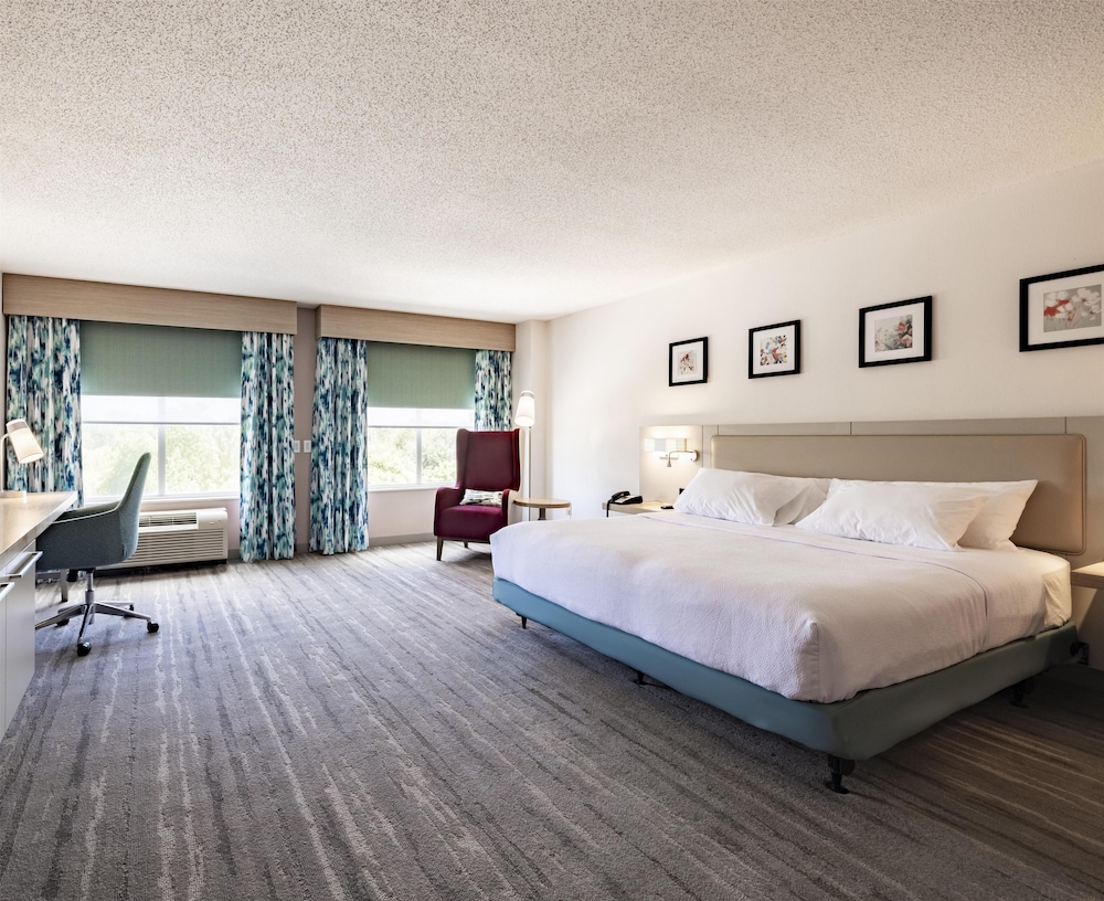 Hilton Garden Inn Albany - photo 9