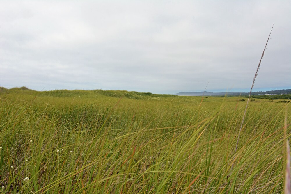 Surfcrest Resort - photo 61