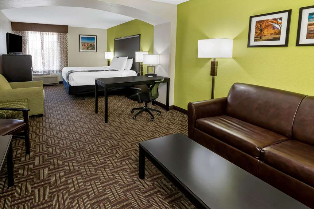 La Quinta Inn & Suites by Wyndham Fruita - photo 28
