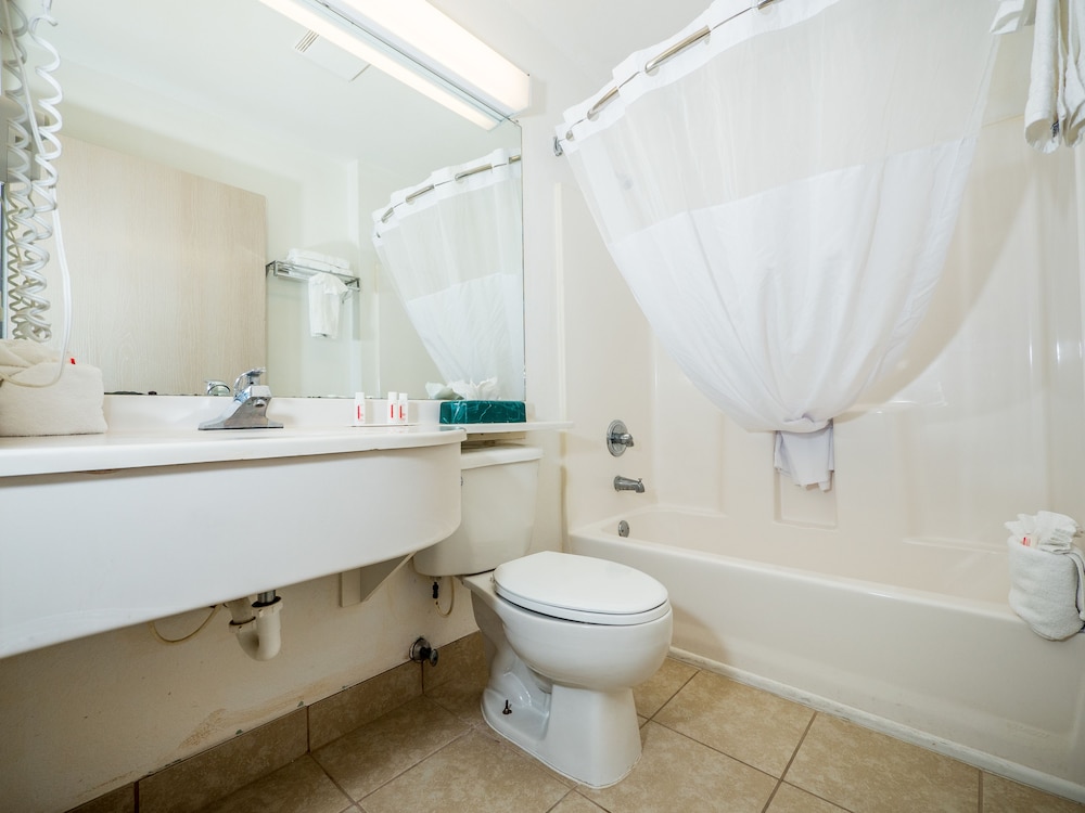Microtel Inn & Suites by Wyndham Palm Coast I 95 - photo 6