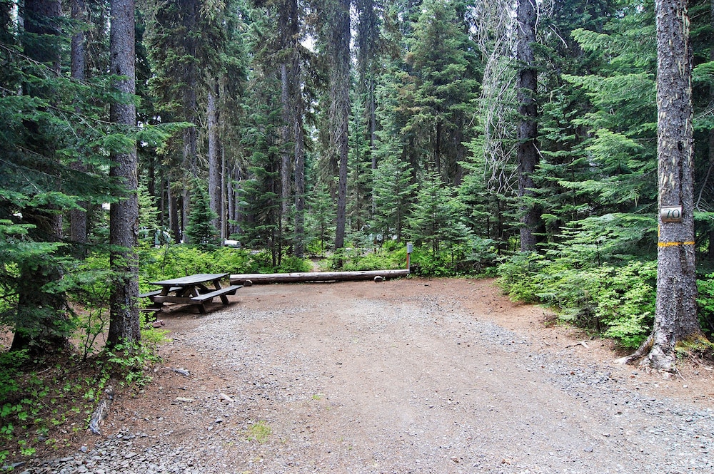Shelter Cove Resort and Marina - photo 96