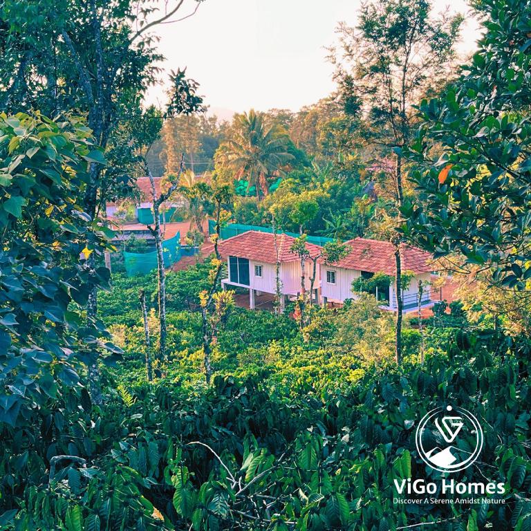 ViGo Homes — 5-Star Luxury Hotel in Sakleshpur, India