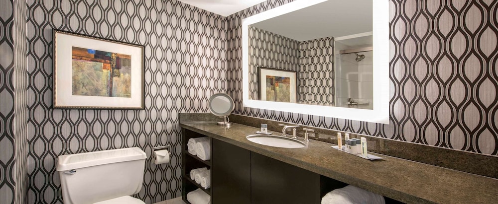 DoubleTree by Hilton Hotel Chicago Wood Dale Elk Grove - photo 21
