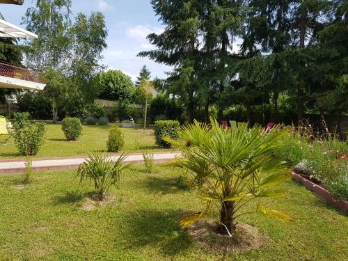 La Cendresie — hotel in Noyers-Sur-Cher